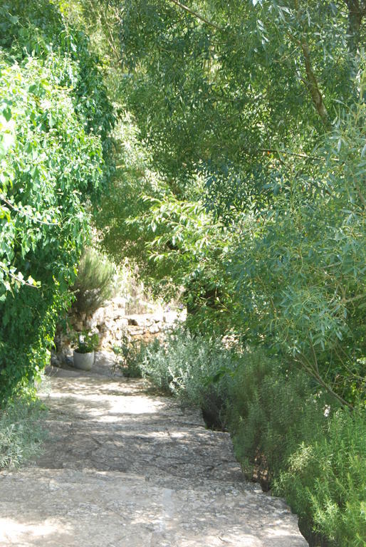 Center Escape To Nature