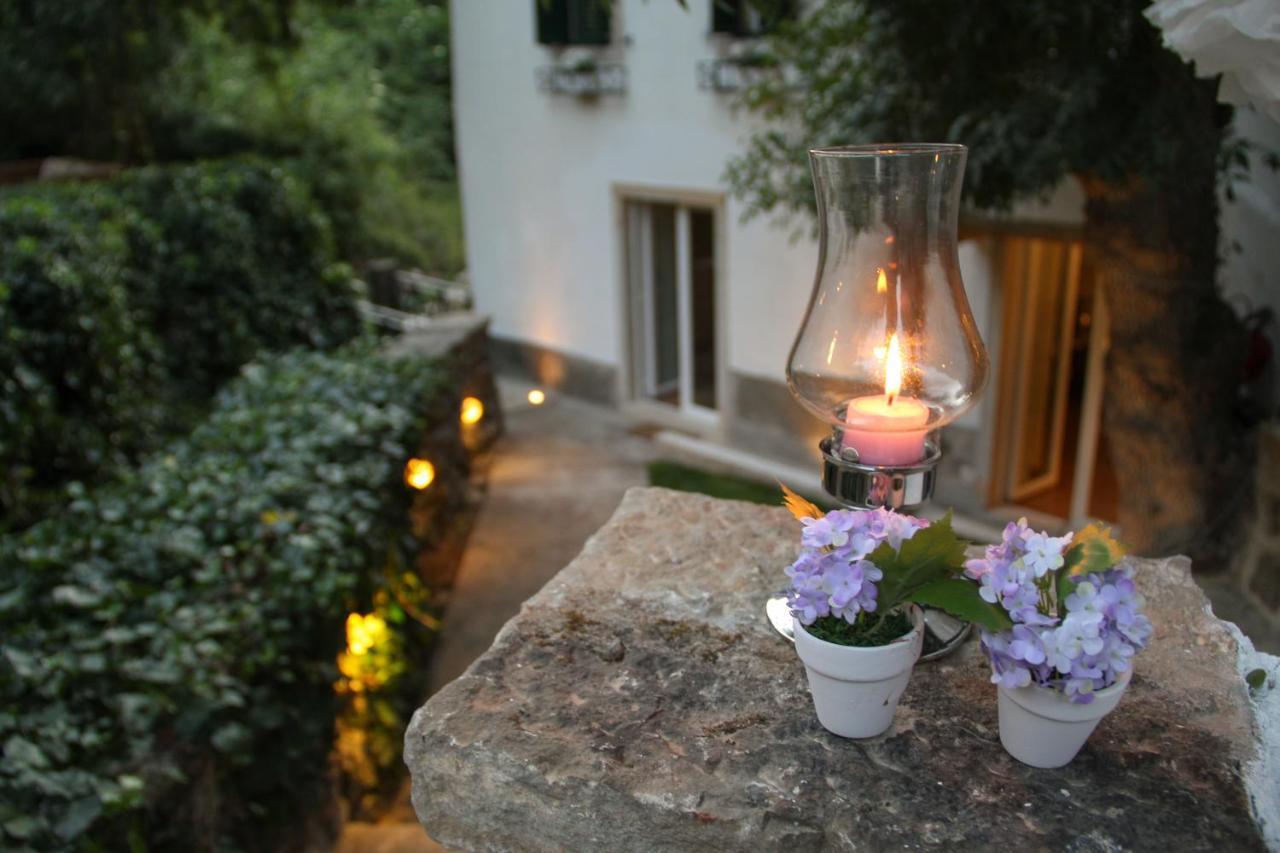 Center Escape To Nature Sintra