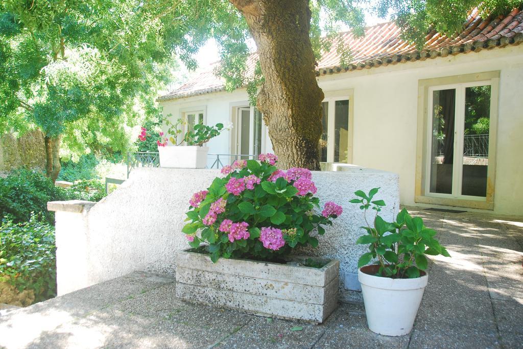 Guest house Center Escape To Nature