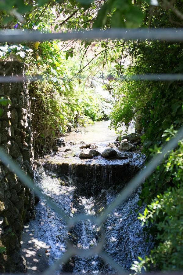 Guest house Center Escape To Nature *